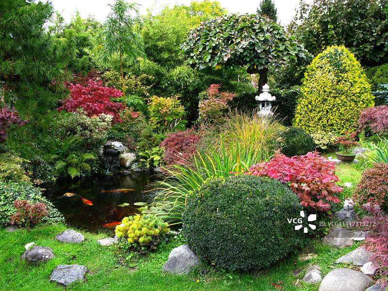 日式花园锦鲤池塘美景图片素材