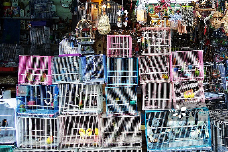 香港雀鸟街的鸟笼图片素材