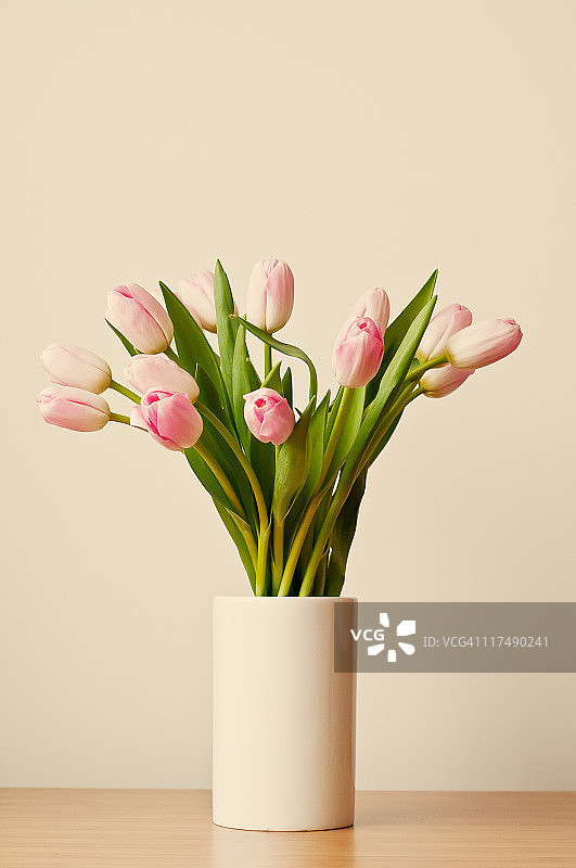 郁金香花束图片素材