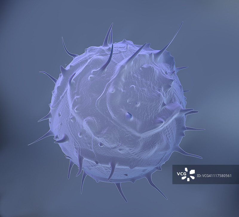 人类白细胞图片素材