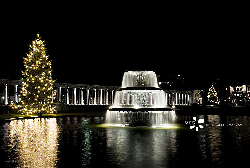 圣诞树和灯光喷泉图片素材