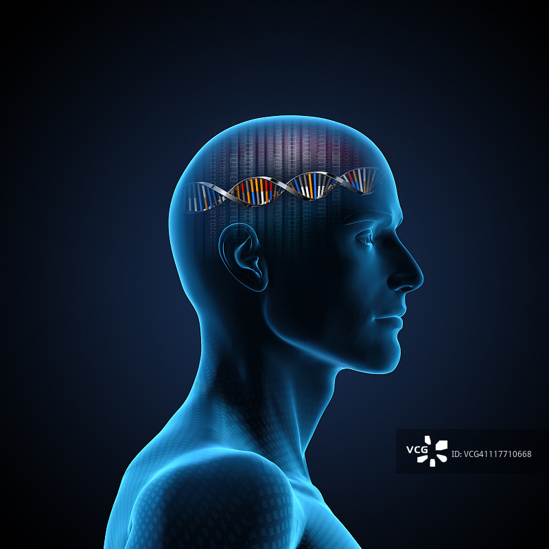 脑DNA图片素材