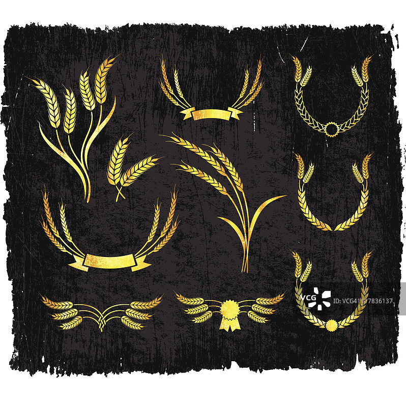 免版税矢量背景上的小麦设计图片素材