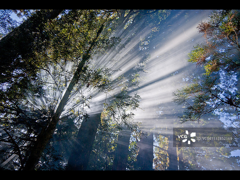 冬日阳光图片素材