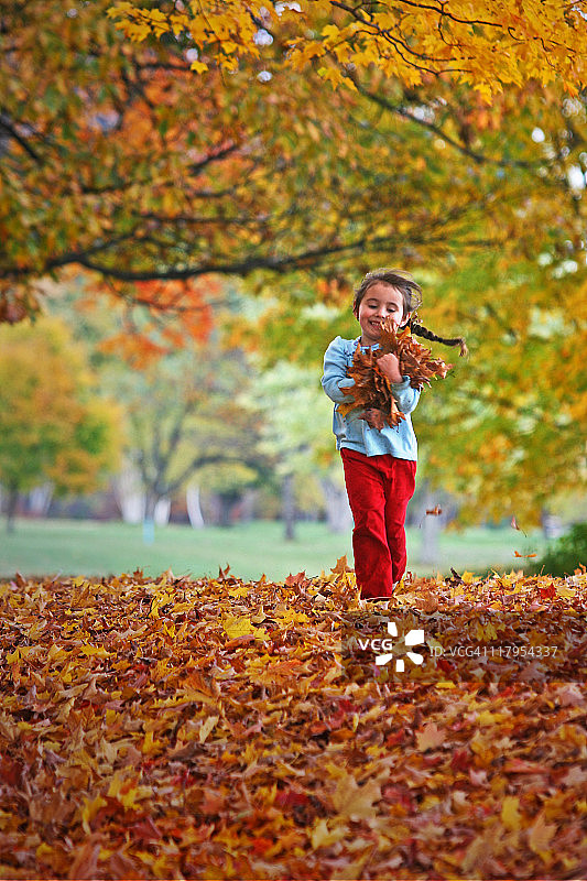 儿童玩树叶图片素材