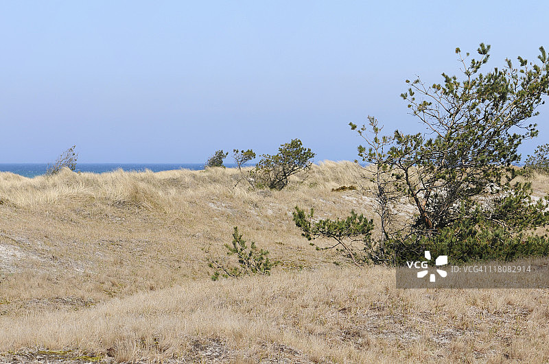 达瑟奥特（德国）海滩图片素材