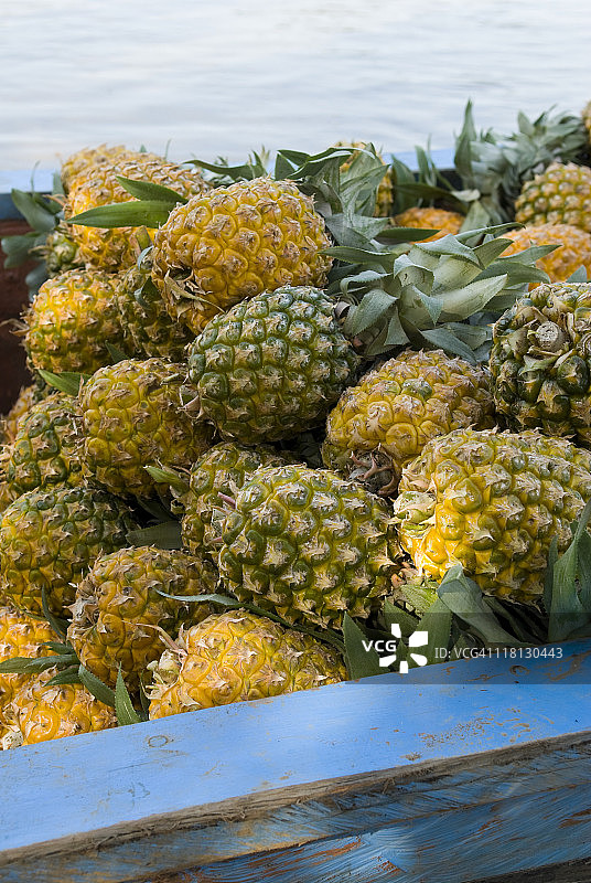 哥伦比亚马格达莱纳河上的菠萝船图片素材
