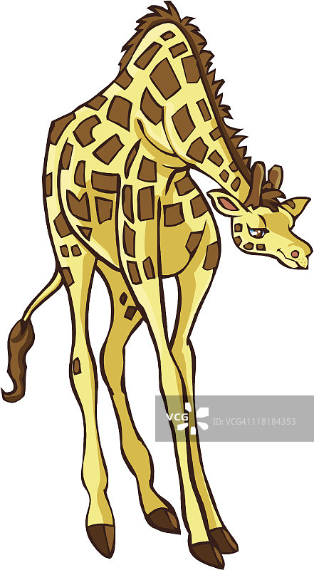 长颈鹿图片素材