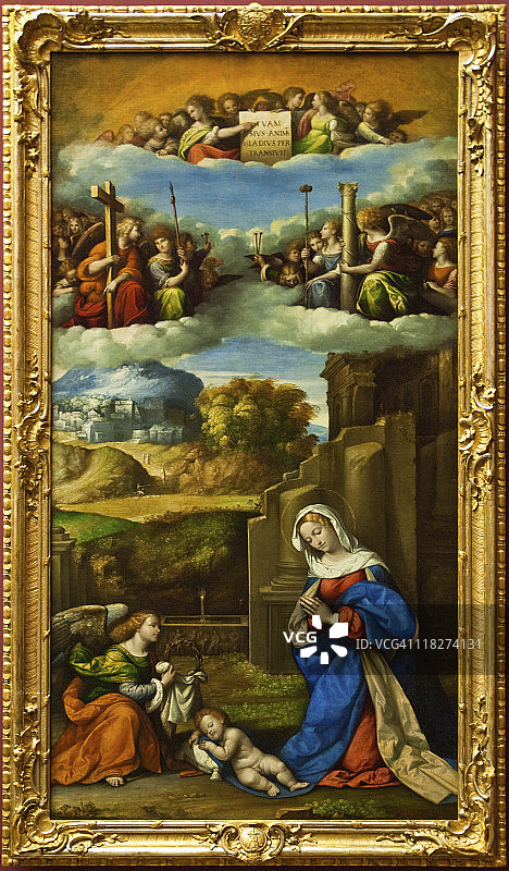 加罗法洛图片素材