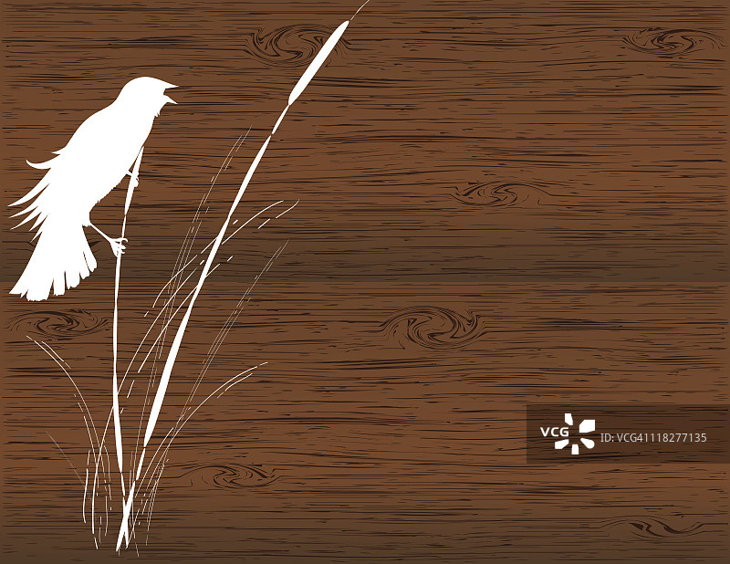 风格化栖息在草丛中的乌鸫图片素材