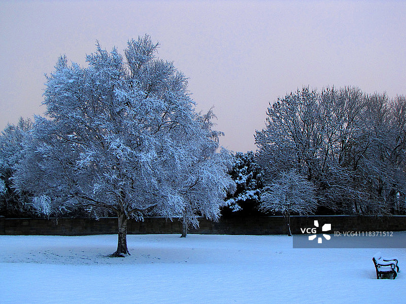 冬季仙境图片素材