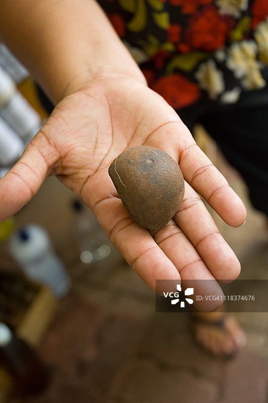 安迪罗巴种子图片素材
