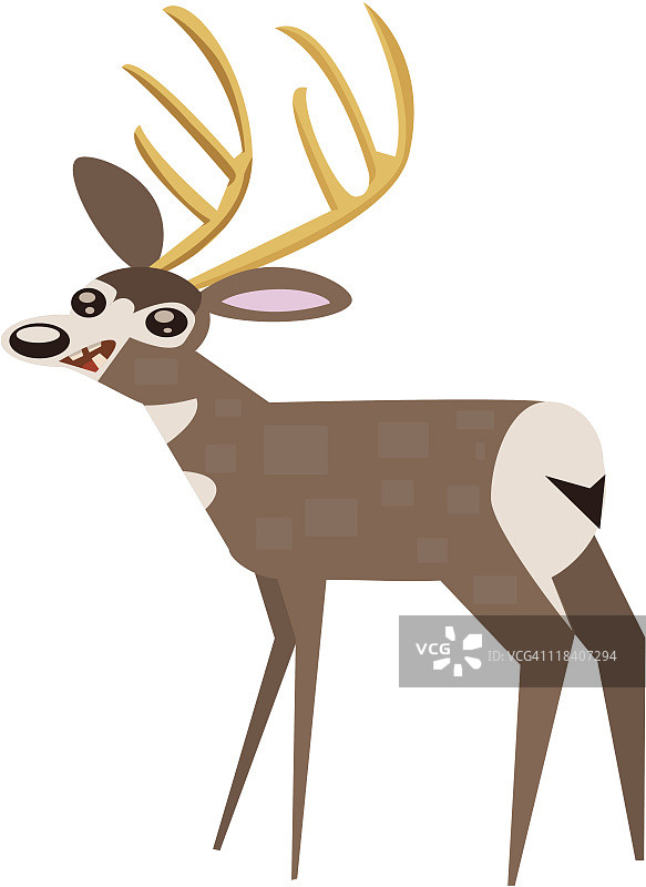 黑尾鹿图片素材