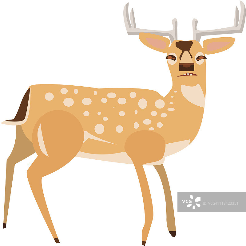 小鹿图片素材