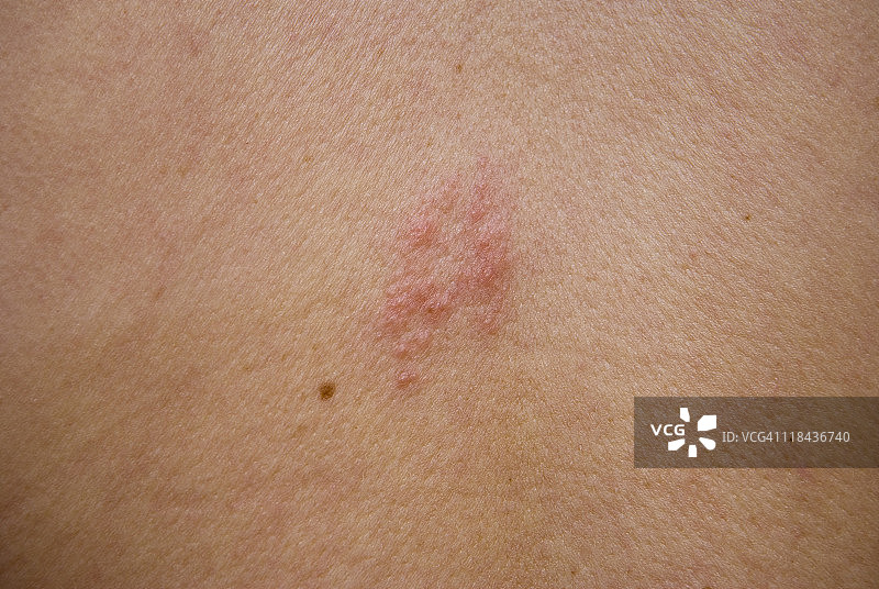 背面的瓦片图片素材