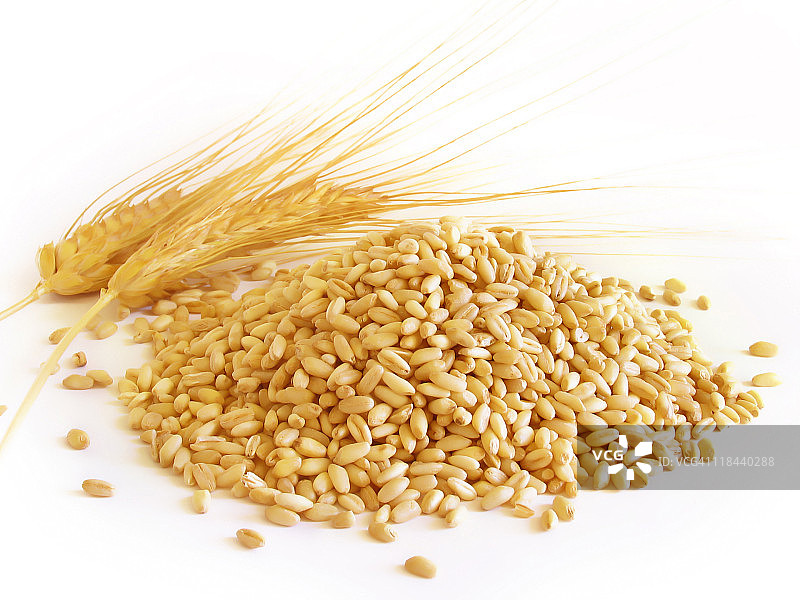 带麦穗的小麦浆果图片素材