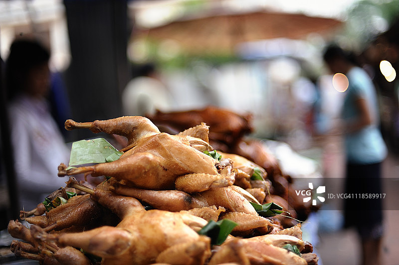 老母鸡炖菜图片素材