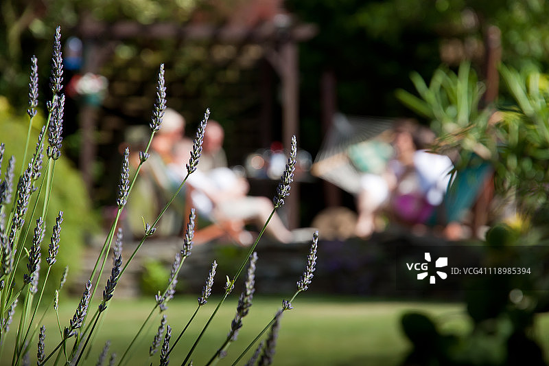 在花园里放松图片素材