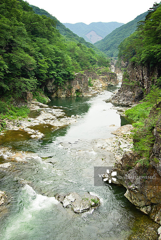 日本郁郁葱葱的火山河峡谷图片素材