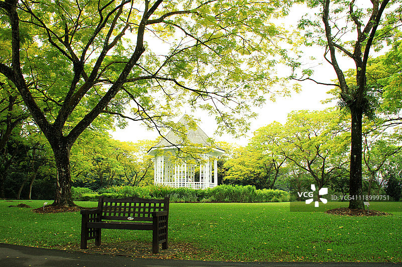 新加坡植物园图片素材