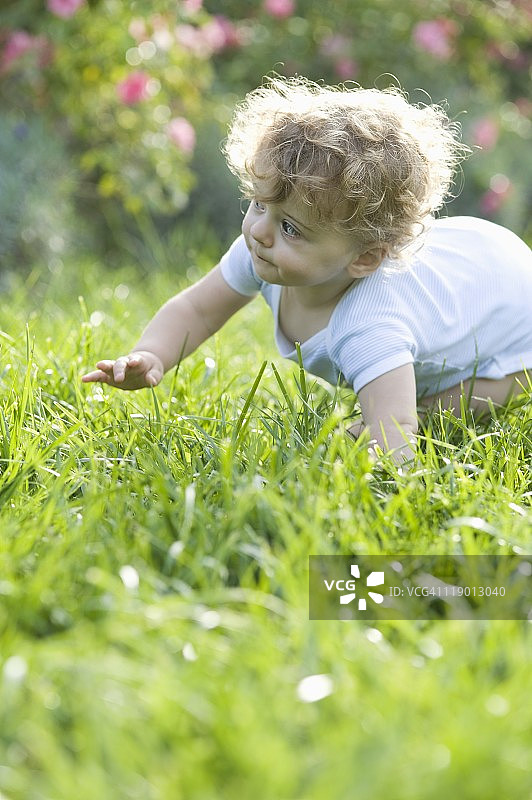 幼儿在草地上爬行，背景是花丛图片素材