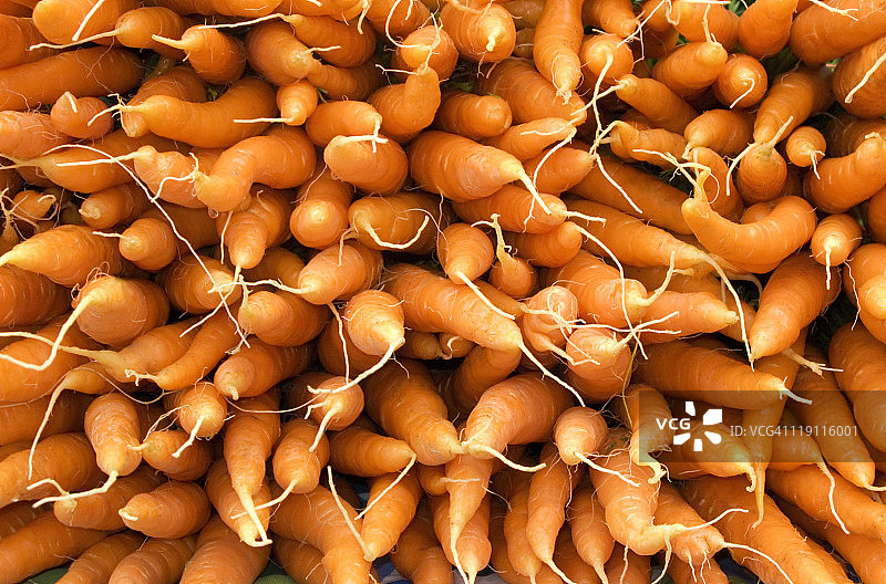 新鲜的胡萝卜图片素材