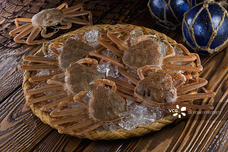 日本绒螯蟹图片素材