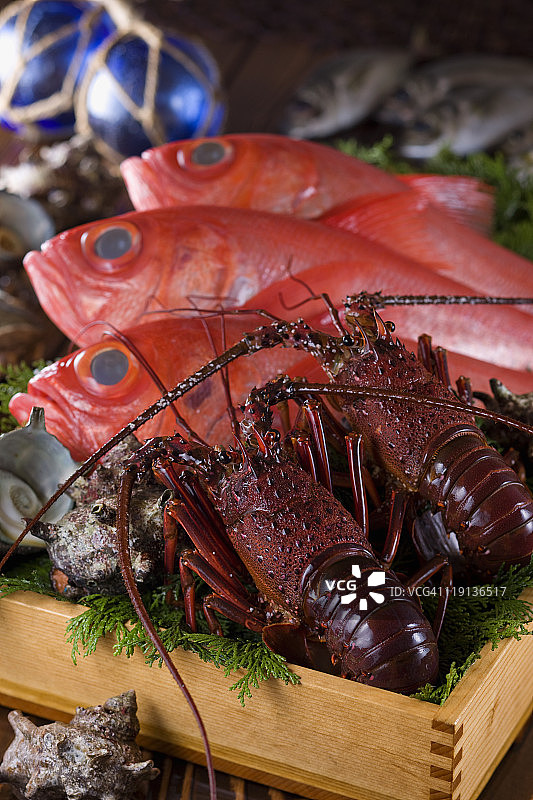 伊豆地区海鲜图片素材