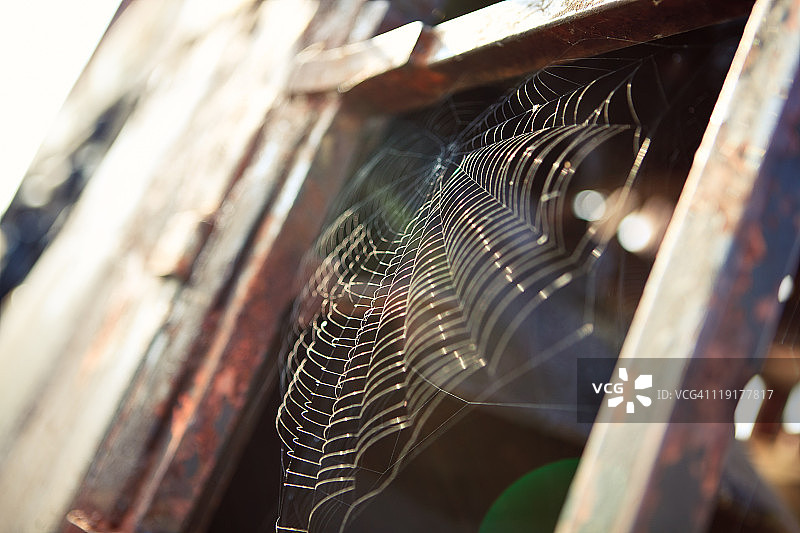 生锈金属上的蜘蛛网图片素材