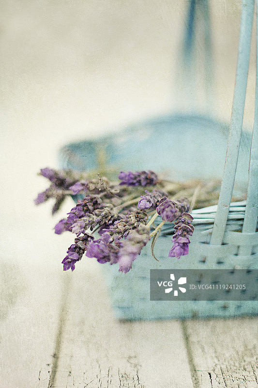 干燥的花图片素材