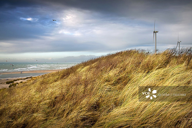 感受风图片素材