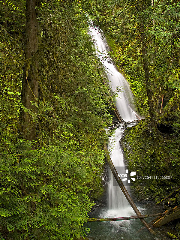 瀑布和热带雨林图片素材