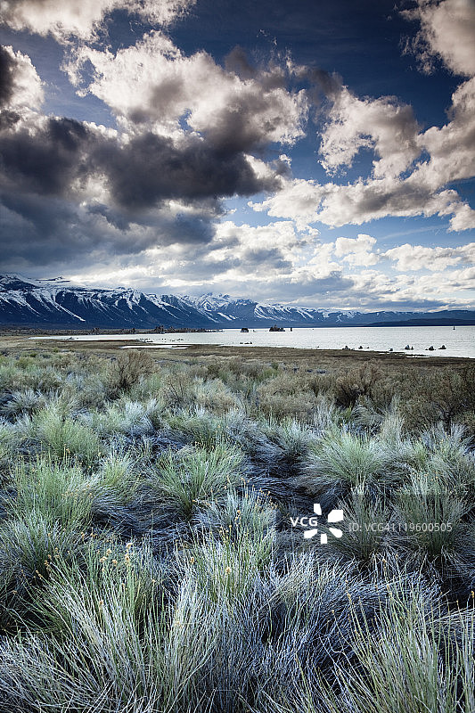 李维宁，莫诺湖图片素材