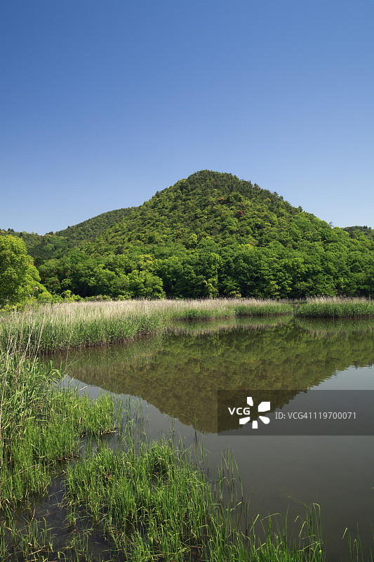 广泽池图片素材