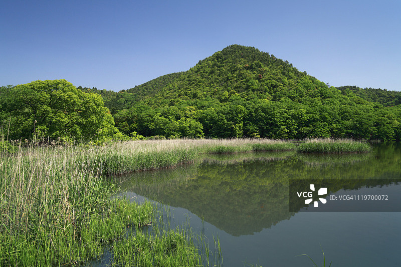 广泽池图片素材
