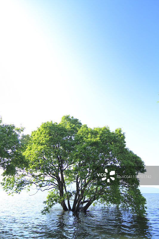 琵琶湖图片素材