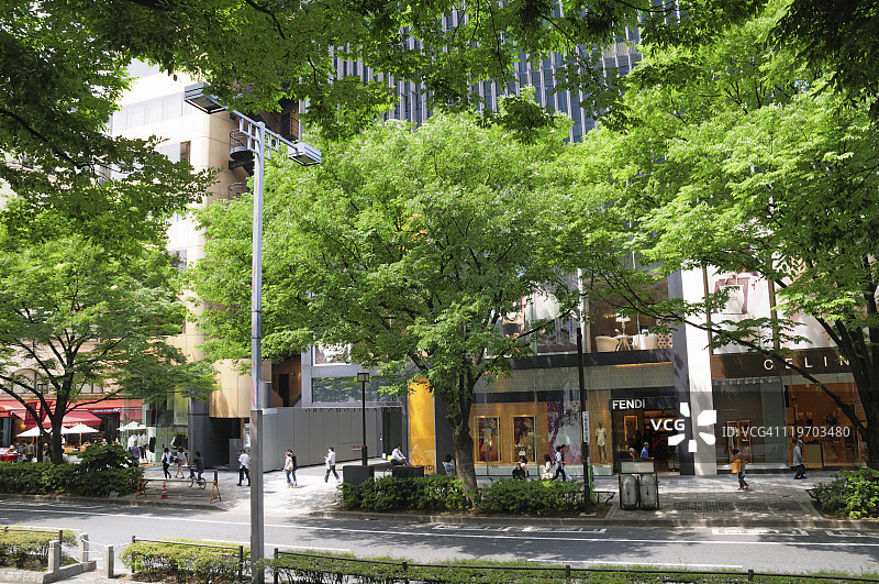 日本东京涩谷区表参道图片素材