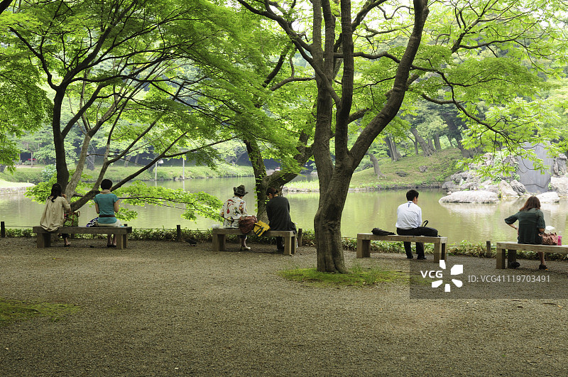在小石川后乐园放松身心的人们,日本东京文京区图片素材