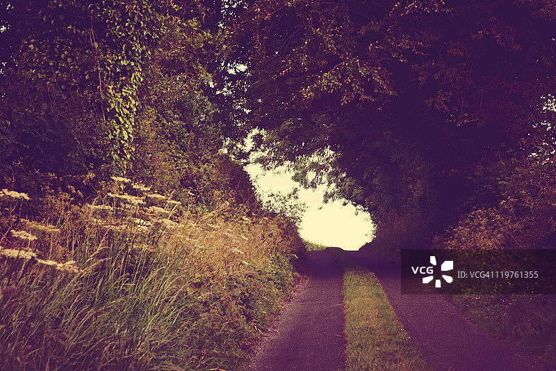 爱尔兰威斯特米斯郡图片素材