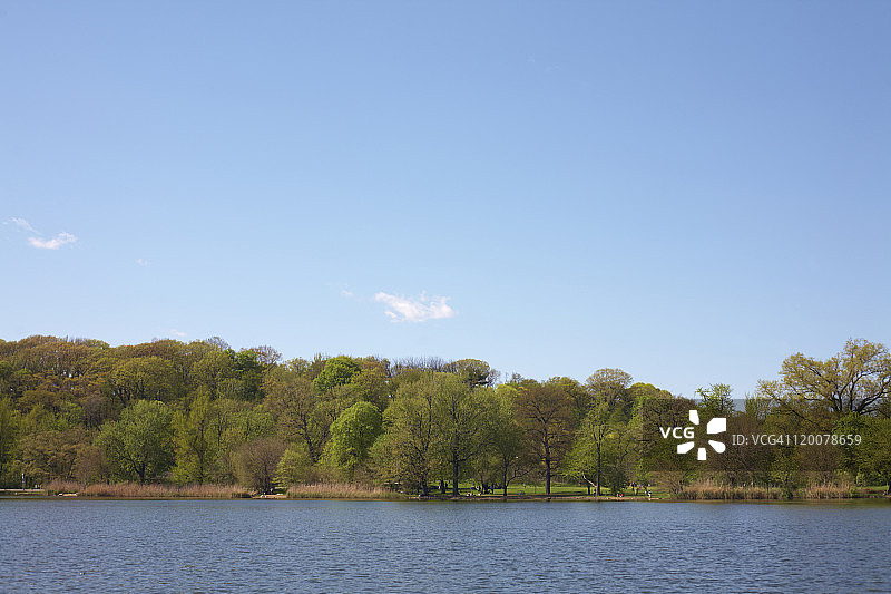 展望公园的湖泊图片素材