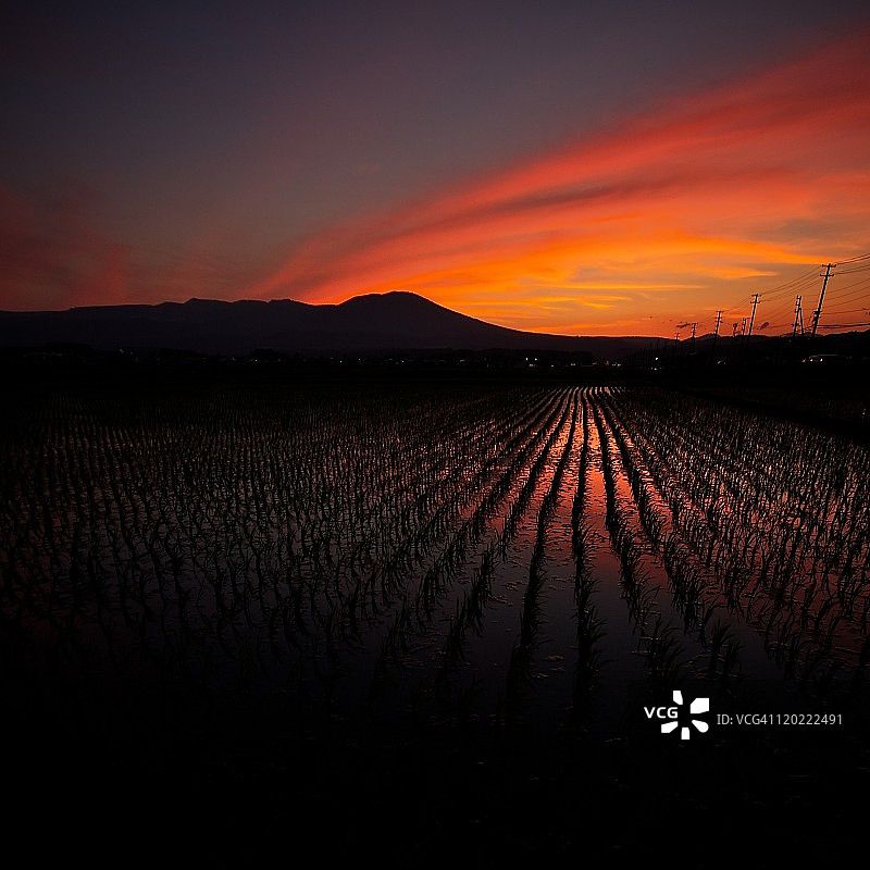 稻田火灾图片素材