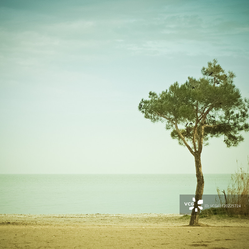在贝雷塘边漫步图片素材