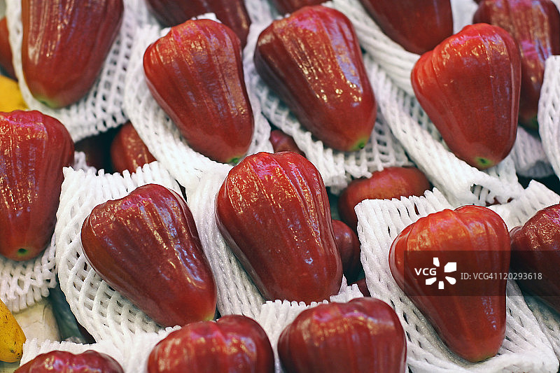 香果蒲桃图片素材