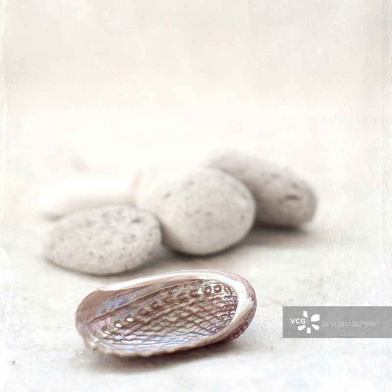 宝拉和浮石图片素材