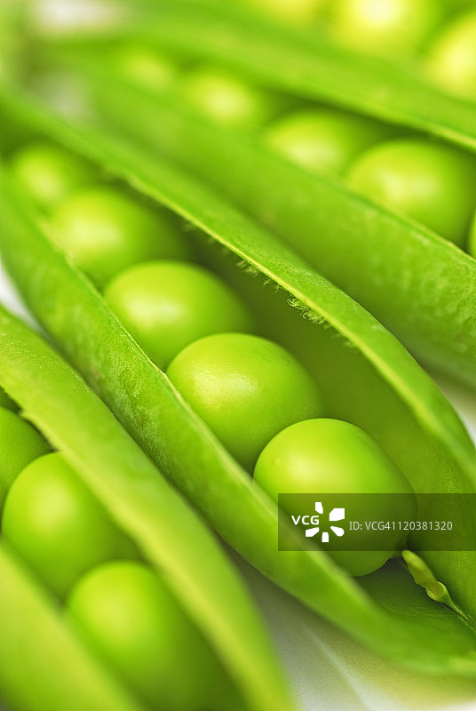 豌豆荚图片素材