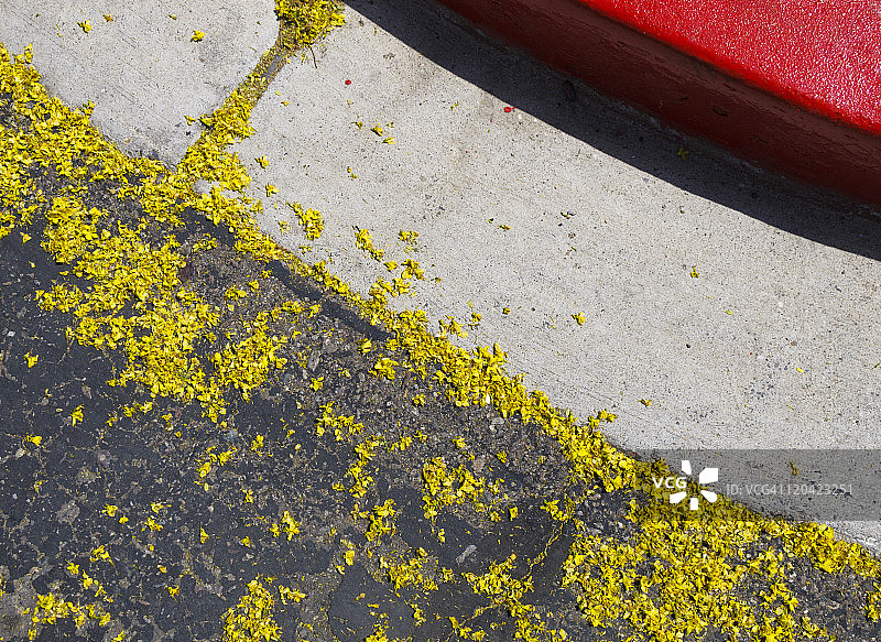 街头鲜花图片素材