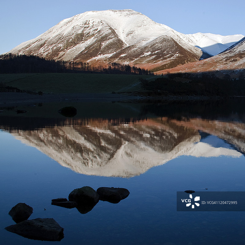 怀特赛德图片素材