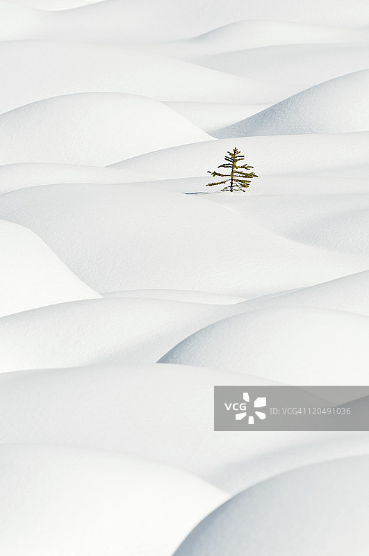 迷失在雪海中图片素材