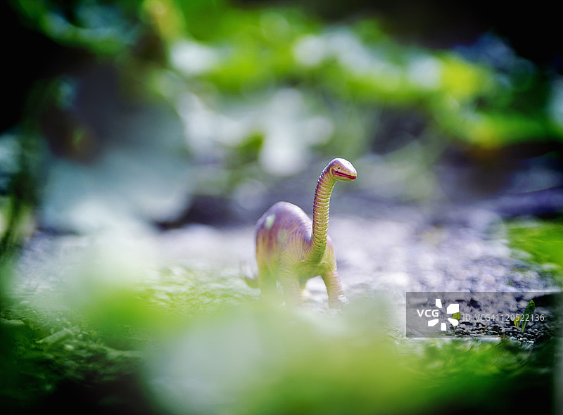 花园里的玩具恐龙图片素材