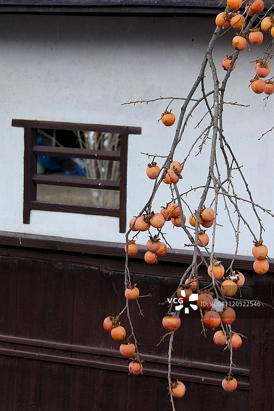 高山雪景图片素材